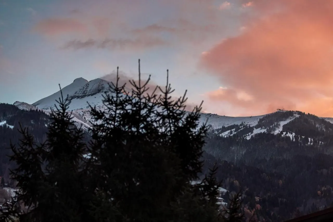 Appartement Studio - Le Vorasson Ideal For A Duo Break In Saint-Gervais!